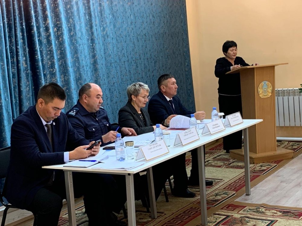 В Мамлютском районе состоялось заседание Межведомственной комиссии по реализации конституционного принципа Закон и Порядок — Фото 4