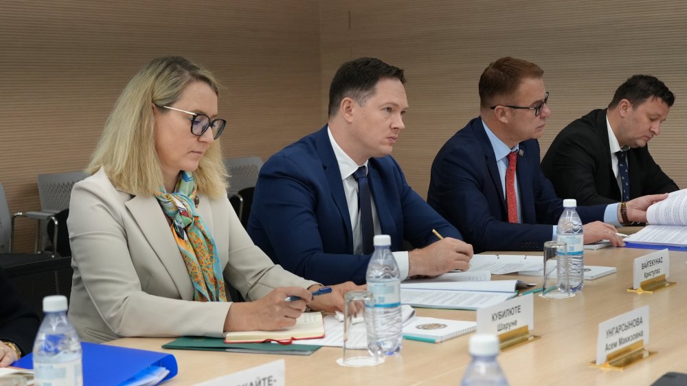 Казахстан и Литва укрепляют политическое взаимодействие на уровне МИД — Фото 2
