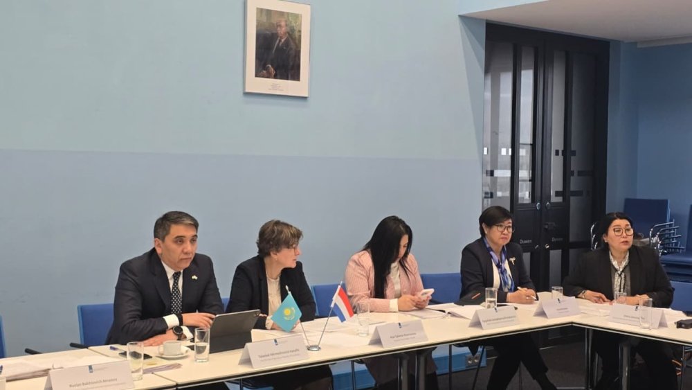 Казахстан и Нидерланды расширяют взаимодействие в сфере АПК — Фото 4