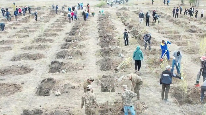 В городском экопарке Абая высадили 600 саженцев деревьев — Фото 3