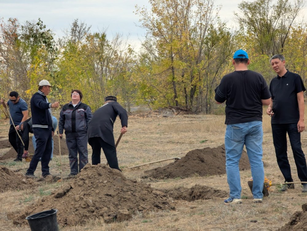 В городском экопарке Абая высадили 600 саженцев деревьев — Фото 4