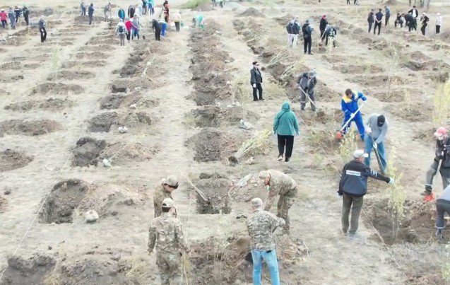 В городском экопарке Абая высадили 600 саженцев деревьев — Фото 2