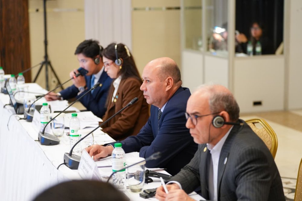 В Астане обсудили приоритеты транспортного сотрудничества стран ОЭС до 2035 года — Фото 1