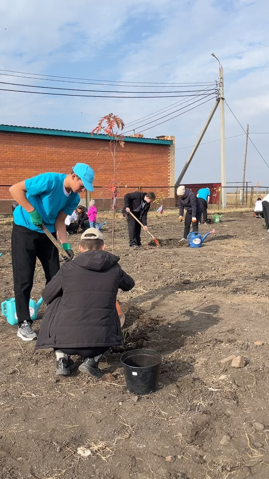 В Сарыкольском колледже агробизнеса и права высадили саженцы плодовых деревьев — Фото 13