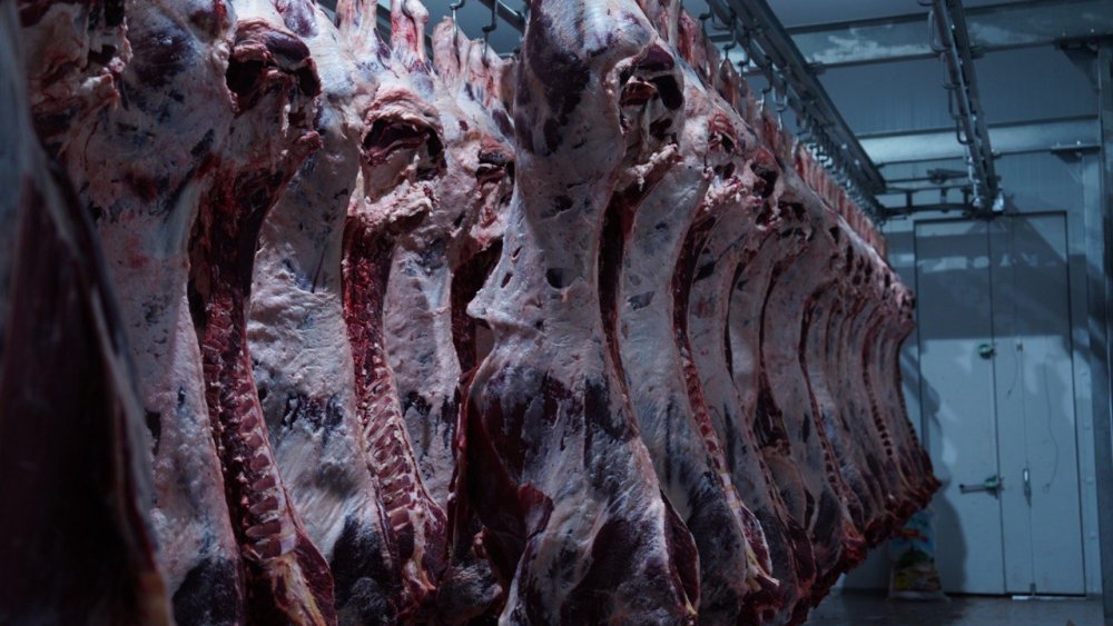 В Казахстане произведено 846,5 тыс. тонн мяса