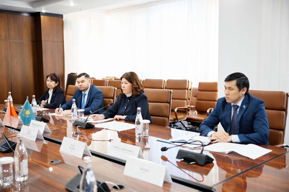 Жулдыз Сулейменова обсудила с Послом Китая сотрудничество в сфере образования — Фото 1