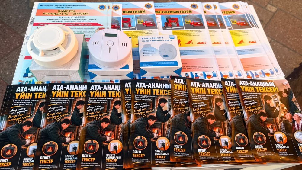 Акция «Ата-анаңның үйін тексер» в области Жетісу — Фото 5
