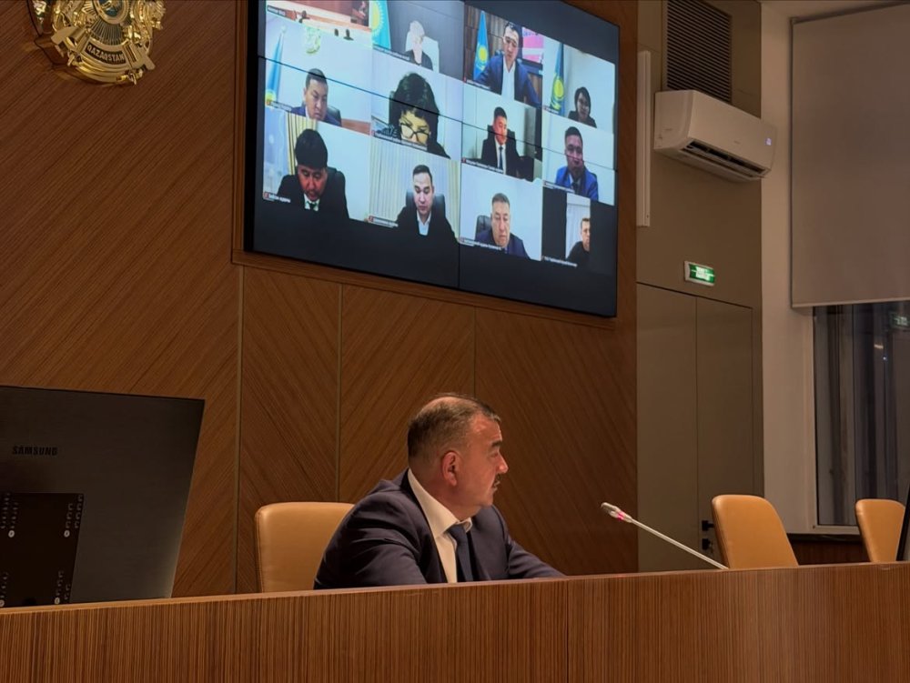В ВКО рассмотрели 9 инвестиционных проектов на сумму вложений 115 млрд тенге — Фото 1
