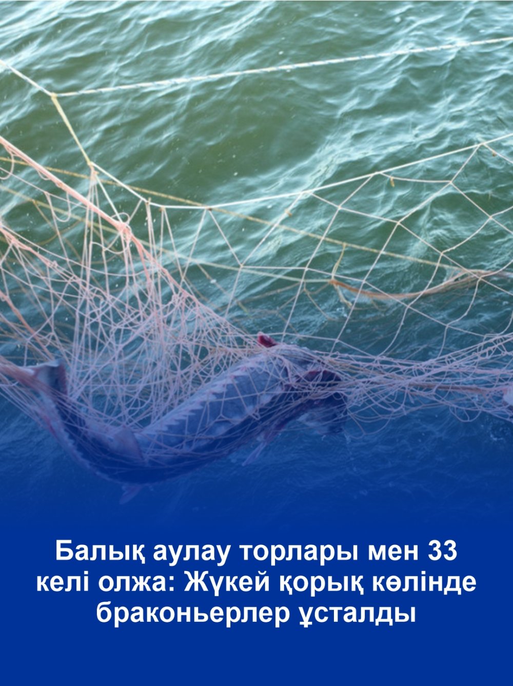 Рыболовные сети и 33 кг улова: на заповедном озере Жукей задержаны браконьеры