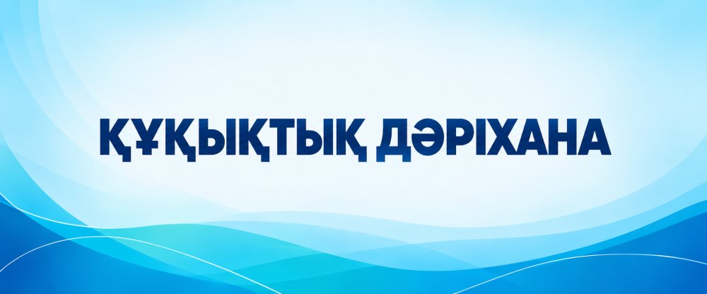 В Караганде проведена акция «Правовая аптека» — Фото 1
