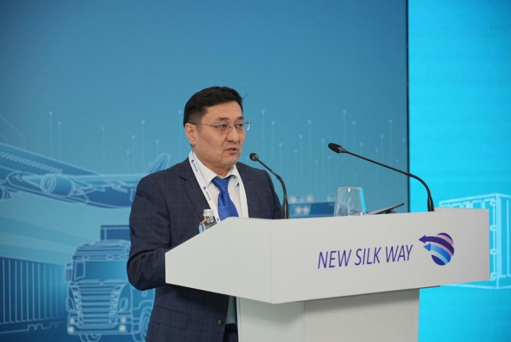 На форуме NEW SILK WAY рассмотрели перспективы развития Среднего коридора — Фото 8