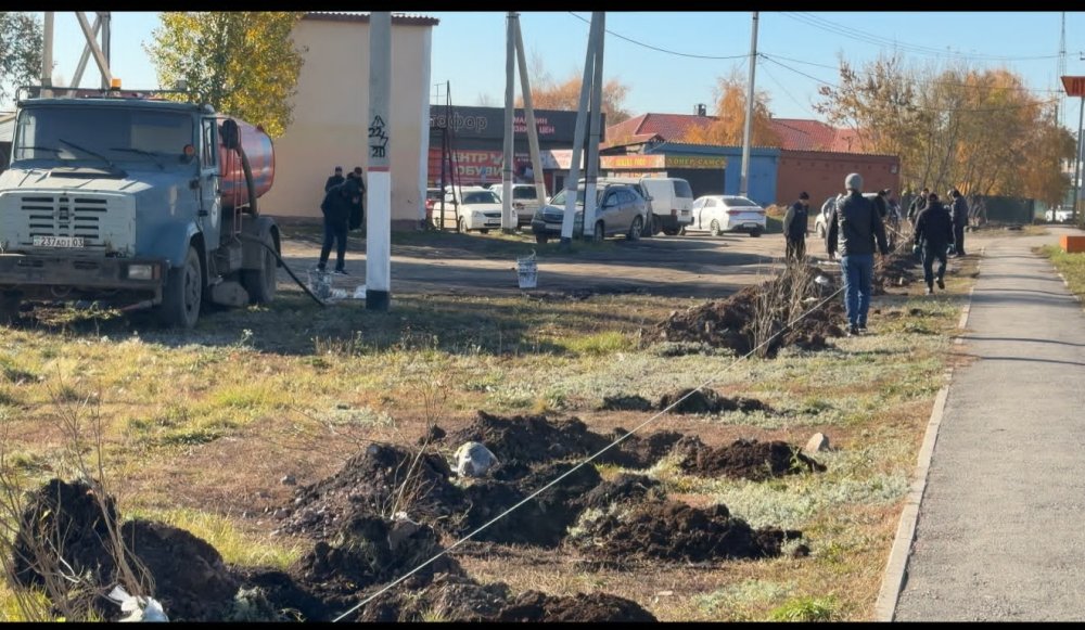 Посадка деревьев в рамках акции "Таза Казахстан" — Фото 2