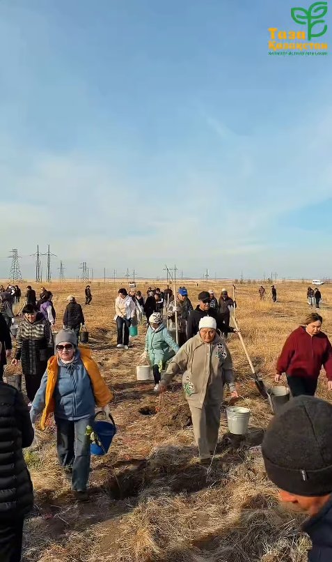 В РАМКАХ РЕСПУБЛИКАНСКОЙ ЭКОЛОГИЧЕСКОЙ АКЦИИ «ТАЗА ҚАЗАҚСТАН» ПРОВЕДЕНЫ ОСЕННИЕ ПОСАДКИ ДЕРЕВЬЕВ — Фото 6