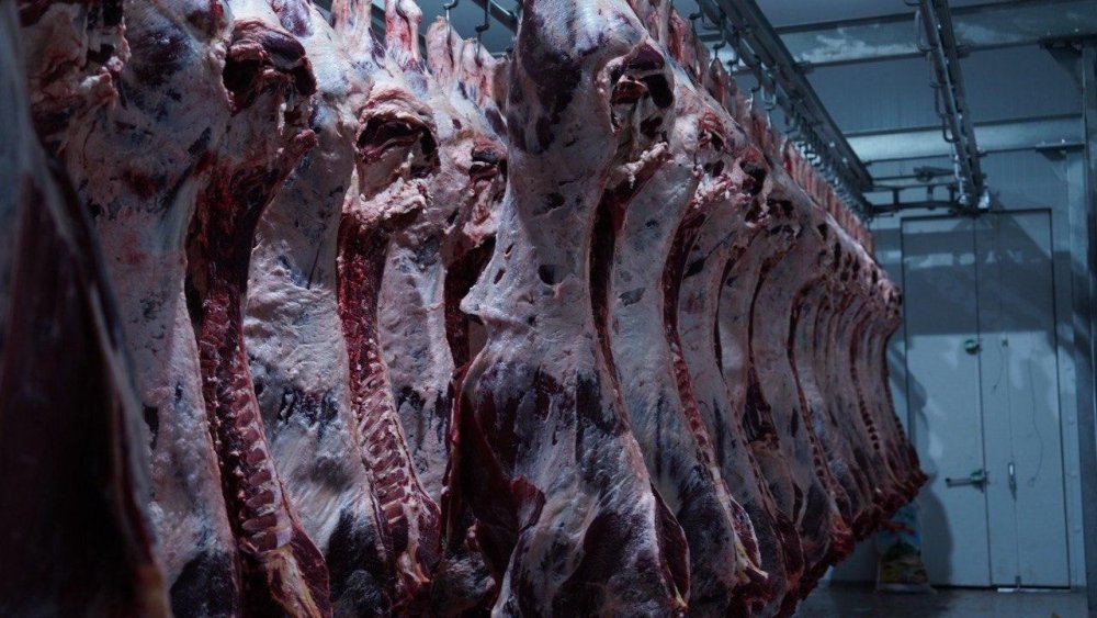 В Казахстане произведено 846,5 тыс. тонн мяса