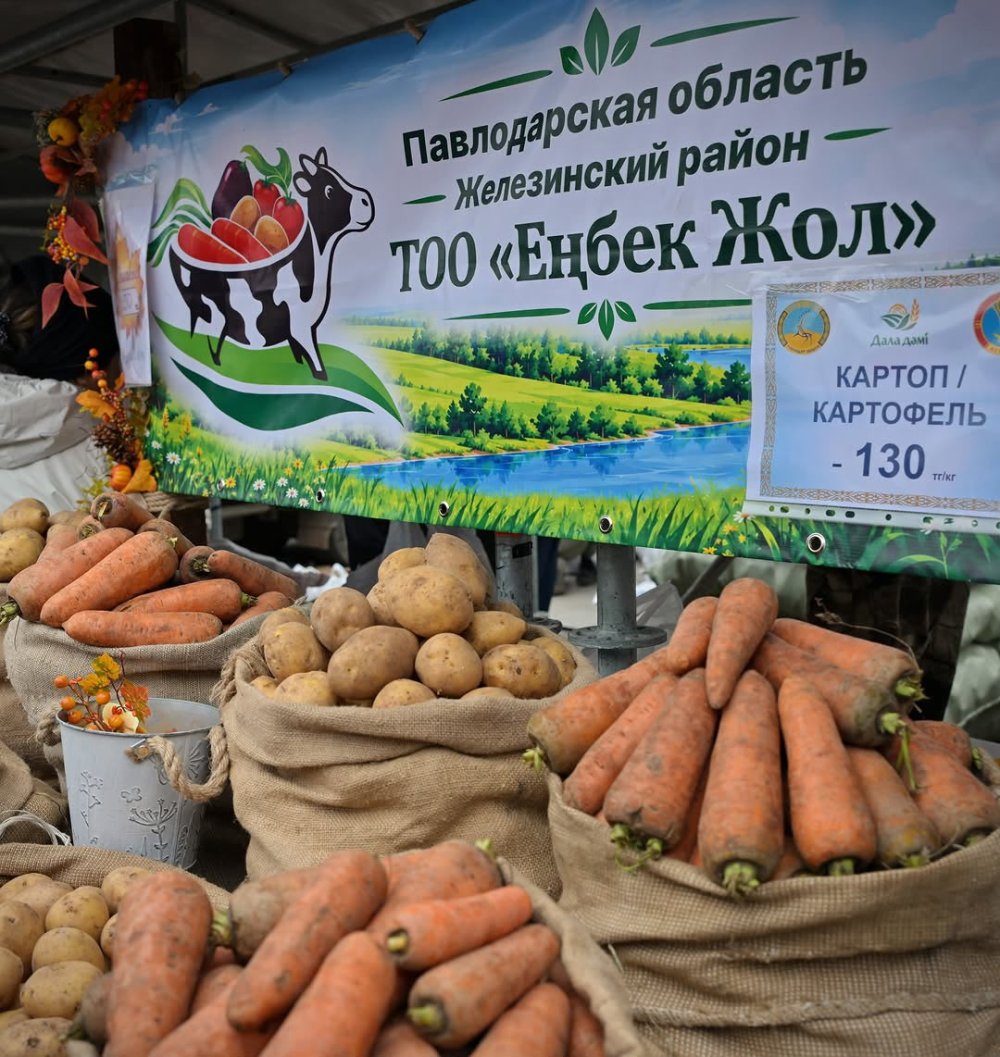 Вкус Прииртышья: павлодарская ярмарка вновь покорила столичных покупателей — Фото 2