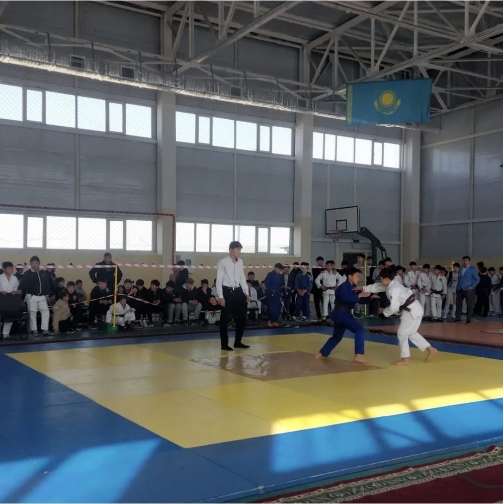 Для подростков были организованы соревнования по дзюдо. — Фото 2