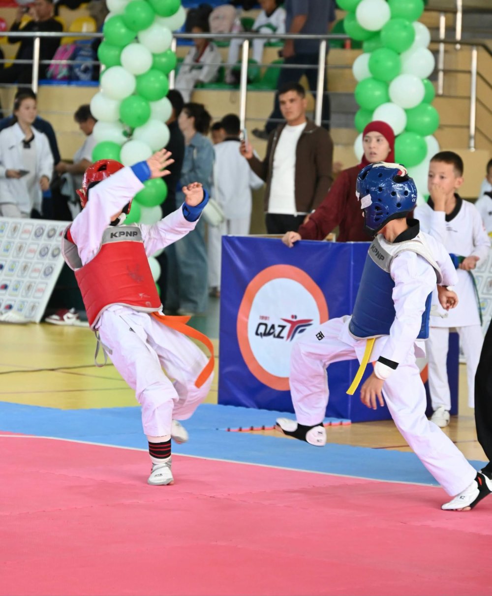 В ЖЕТЫСАЙСКОМ РАЙОНЕ ПРОШЁЛ ОТКРЫТЫЙ ЧЕМПИОНАТ ПО ТХЭКВОНДО — Фото 9