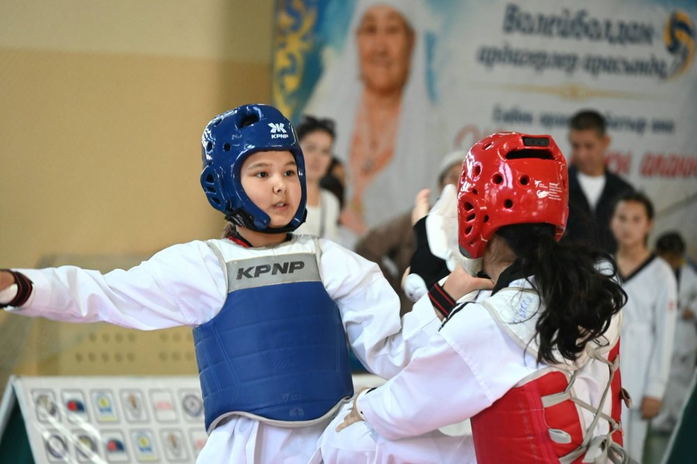 В ЖЕТЫСАЙСКОМ РАЙОНЕ ПРОШЁЛ ОТКРЫТЫЙ ЧЕМПИОНАТ ПО ТХЭКВОНДО — Фото 11