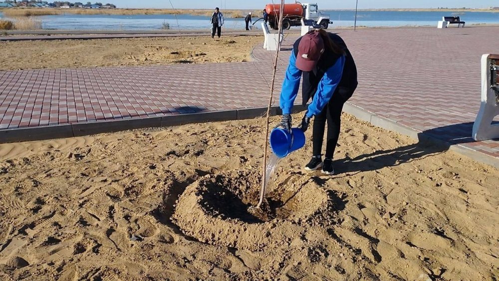 На берегу озера Шалкар проведён субботник — Фото 4