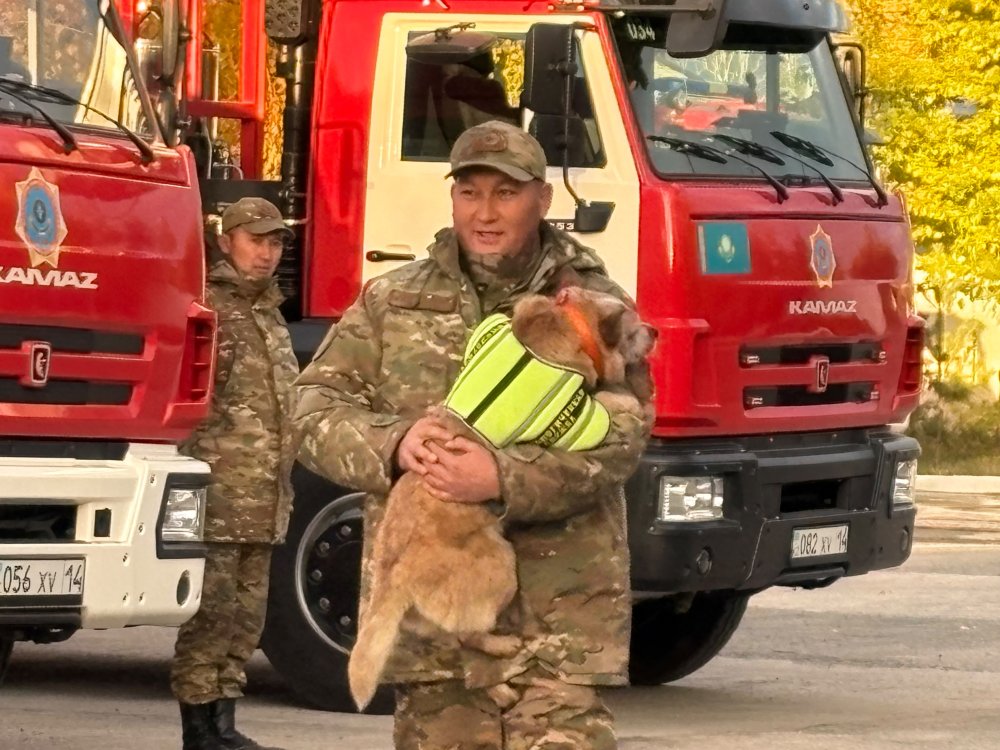 От новой техники до кинологической службы: как развивается ДЧС Павлодарской области — Фото 2