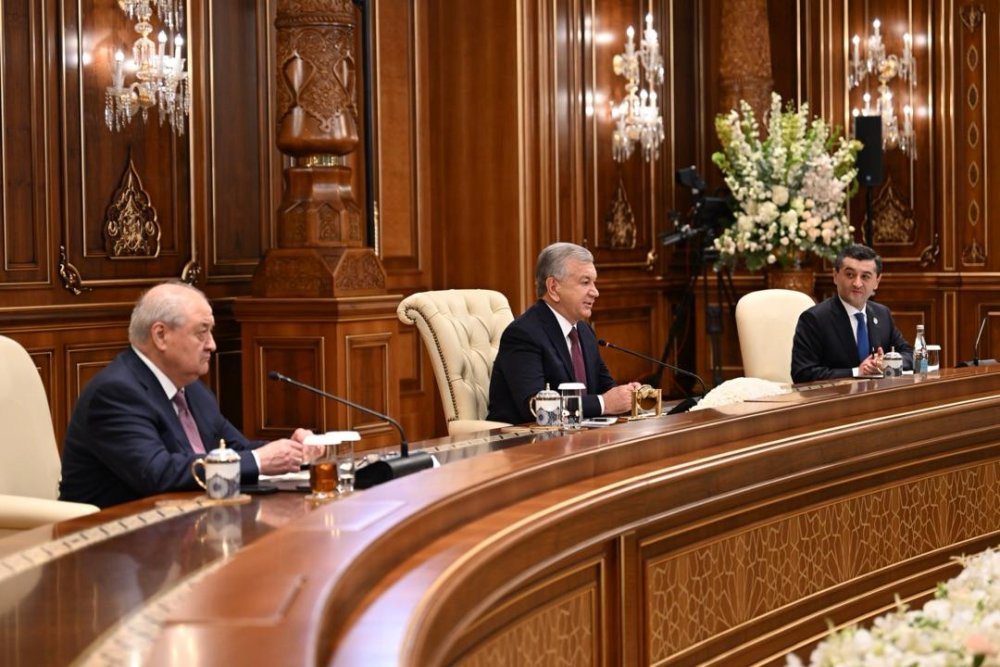Мухтар Тлеуберди был принят Президентом Узбекистана Шавкатом Мирзиеевым — Фото 3