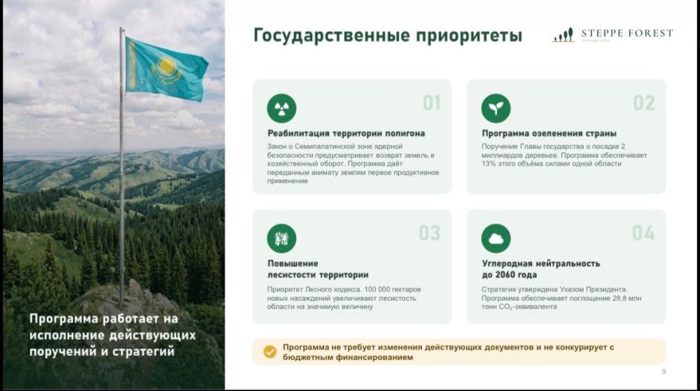Представлен проект восстановления лесов в области Абай — Фото 13