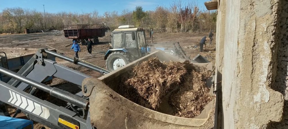 Субботник по очистке здания и прилегающей территории. — Фото 2