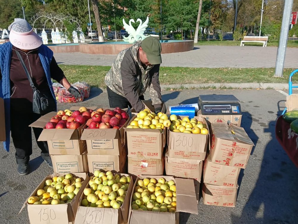 «ДАЛА ДӘМІ»: Ярмарка местной продукции — Фото 3
