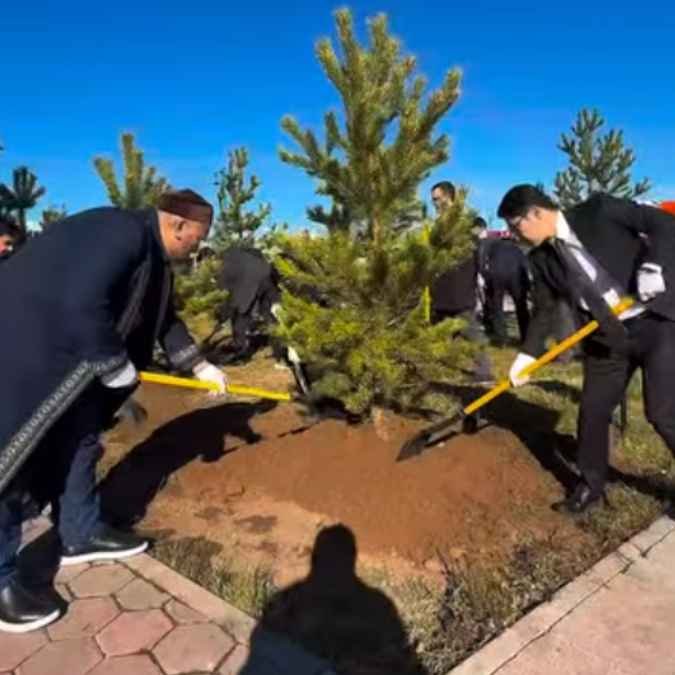 На улице Гёте прошла посадка хвойных деревьев при участии компаний KOMEK Machinery Kazakhstan и Komatsu — Фото 4