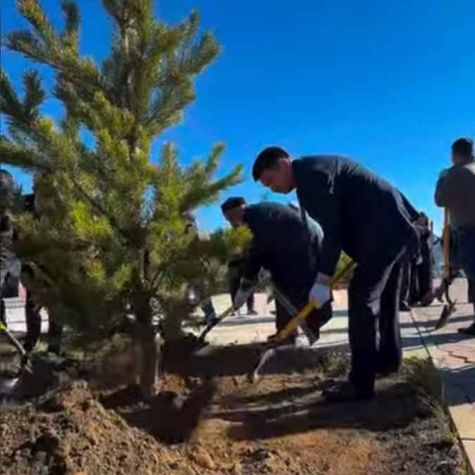На улице Гёте прошла посадка хвойных деревьев при участии компаний KOMEK Machinery Kazakhstan и Komatsu — Фото 2