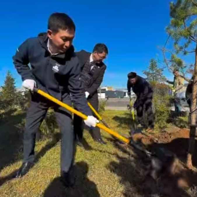 На улице Гёте прошла посадка хвойных деревьев при участии компаний KOMEK Machinery Kazakhstan и Komatsu — Фото 3