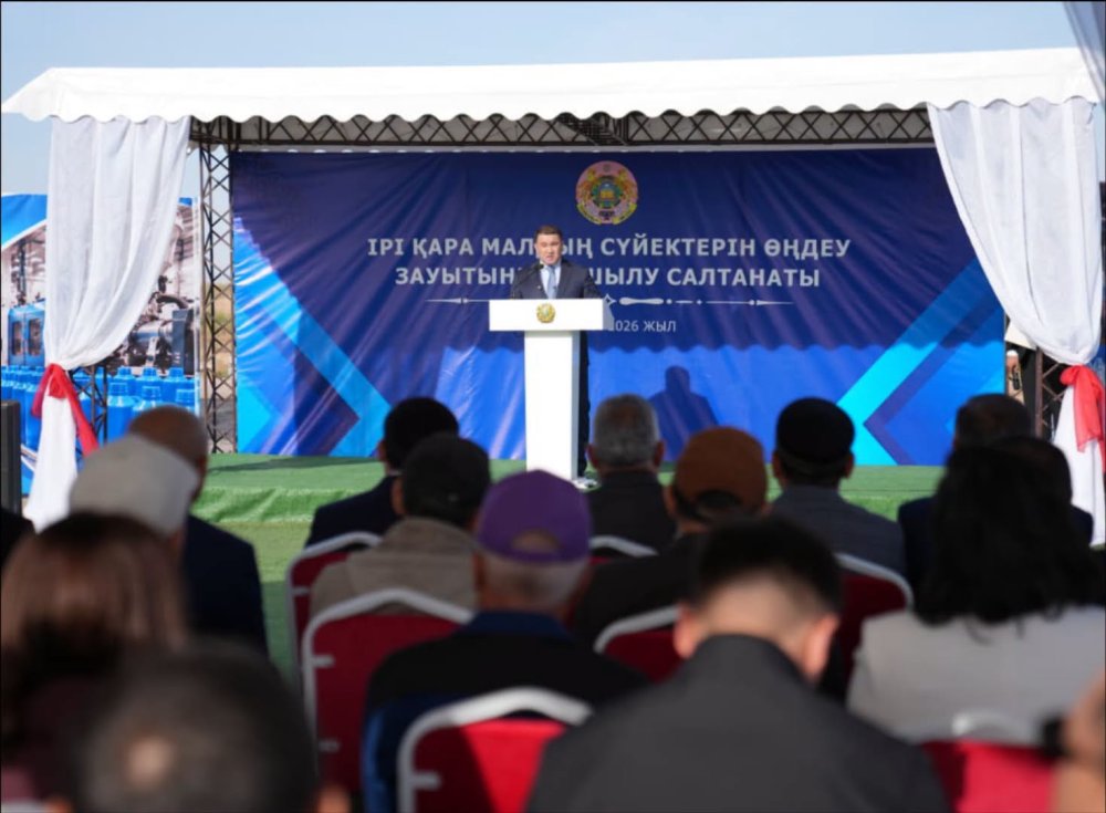 В ТУРКЕСТАНСКОЙ ОБЛАСТИ ЗАПУЩЕН ЗАВОД ПО ПЕРЕРАБОТКЕ КОСТЕЙ ЖИВОТНЫХ СТОИМОСТЬЮ 9 МЛРД ТЕНГЕ — Фото 1