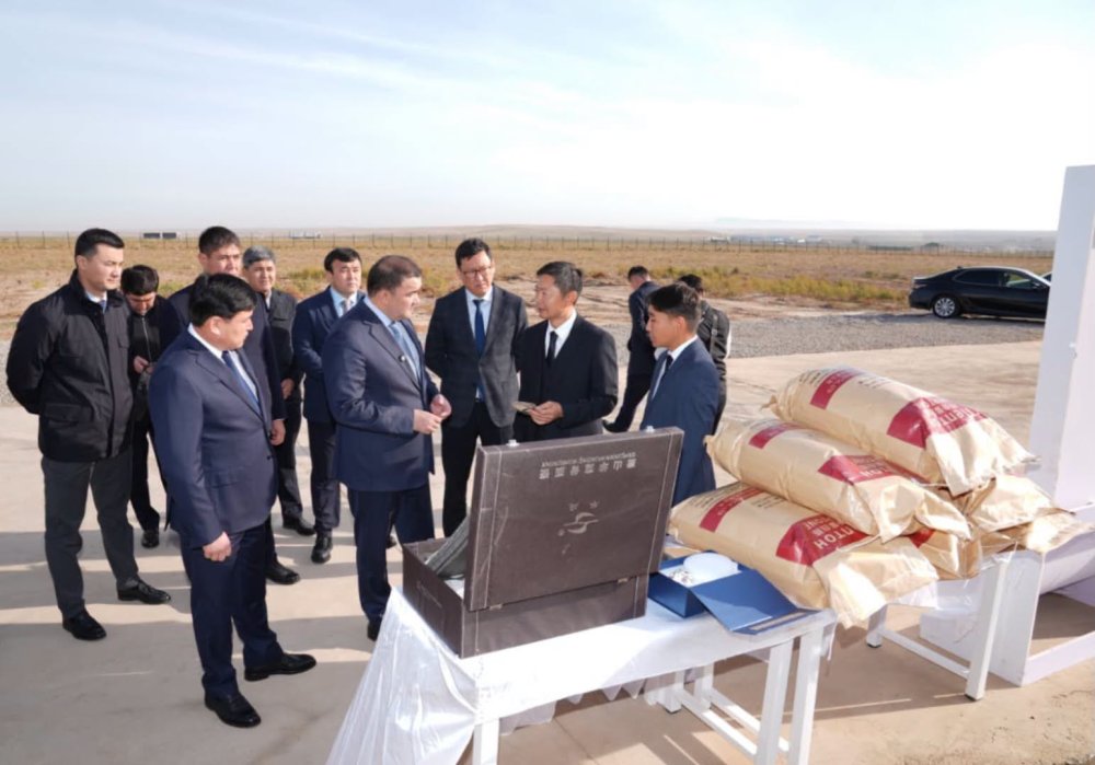 В ТУРКЕСТАНСКОЙ ОБЛАСТИ ЗАПУЩЕН ЗАВОД ПО ПЕРЕРАБОТКЕ КОСТЕЙ ЖИВОТНЫХ СТОИМОСТЬЮ 9 МЛРД ТЕНГЕ — Фото 9