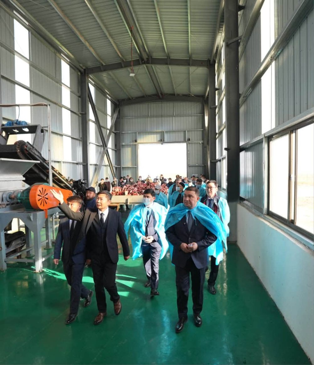 В ТУРКЕСТАНСКОЙ ОБЛАСТИ ЗАПУЩЕН ЗАВОД ПО ПЕРЕРАБОТКЕ КОСТЕЙ ЖИВОТНЫХ СТОИМОСТЬЮ 9 МЛРД ТЕНГЕ — Фото 8