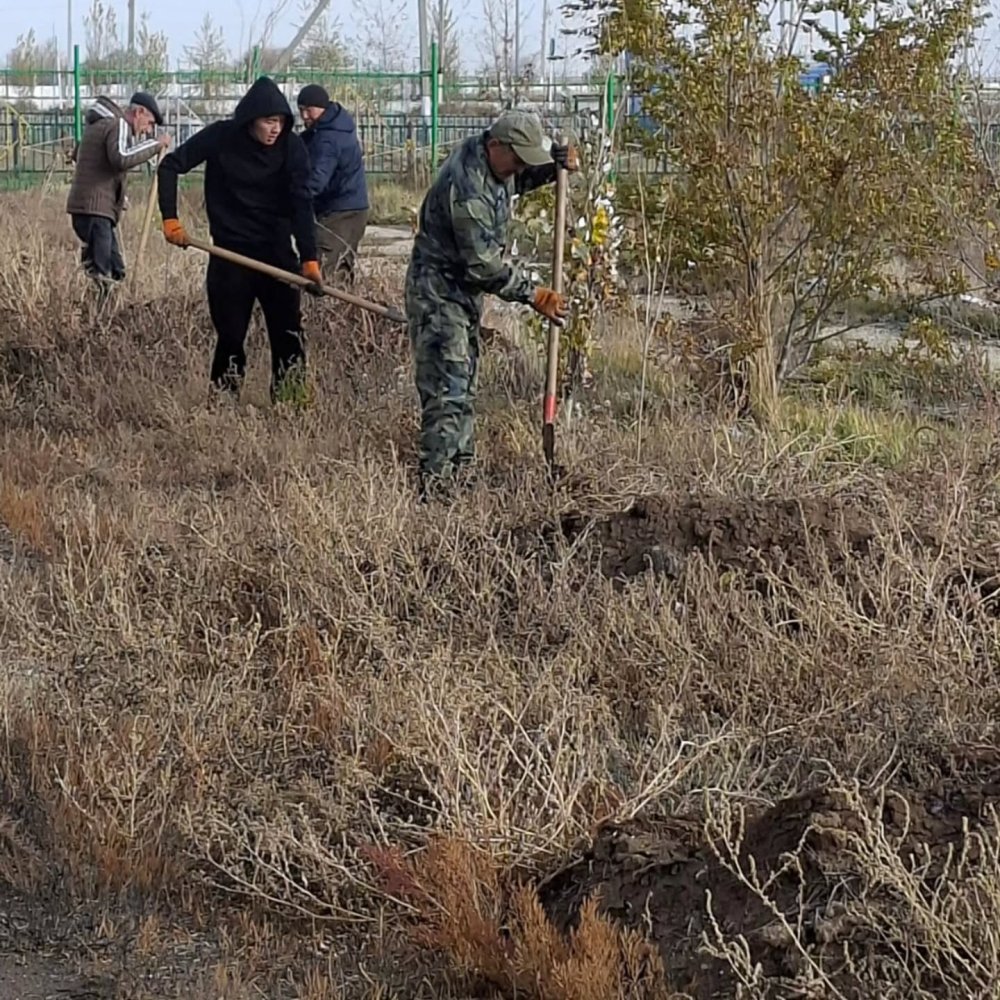 В рамках акции «Таза Қазақстан» в городе Есиль высажены саженцы деревьев — Фото 4
