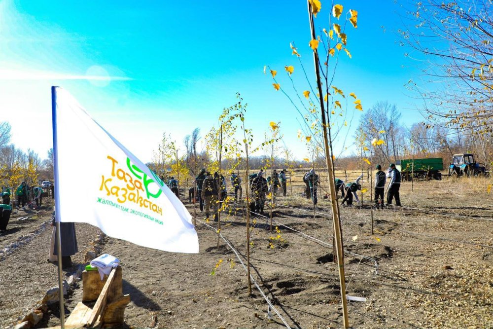 В экопарке Актобе в рамках акции «Таза Қазақстан» школьники высадили 100 берез — Фото 11