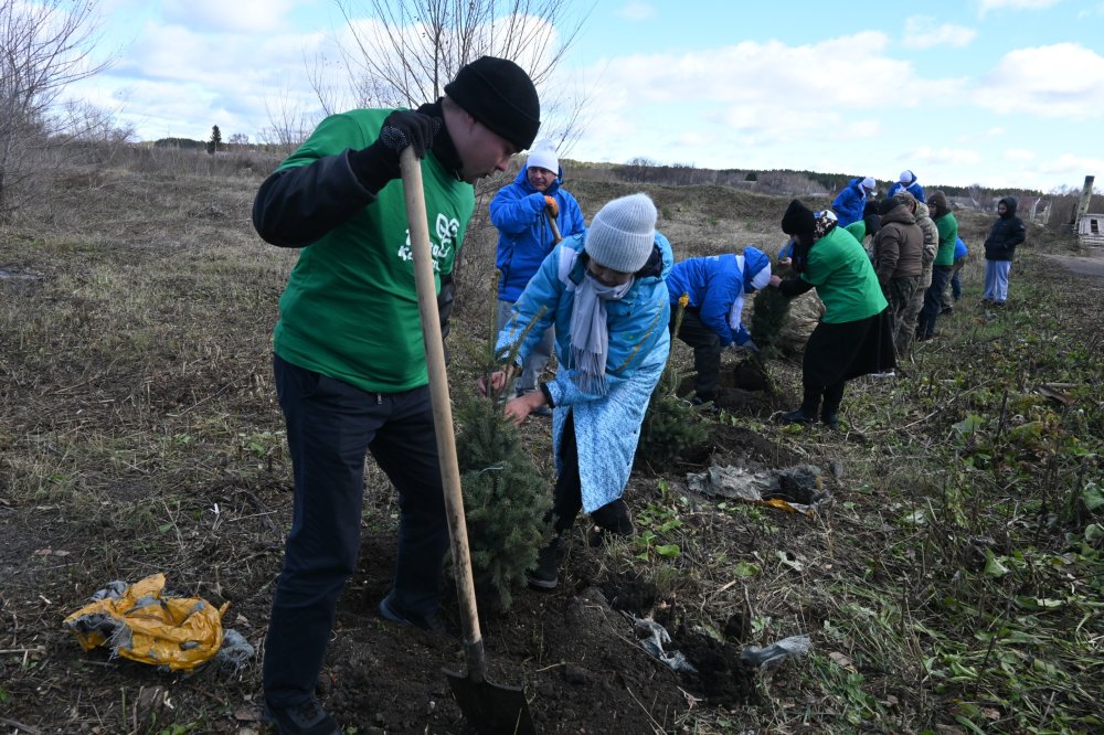 В преддверии Дня республики в селе Балкашино высадили саженцы елей — Фото 3