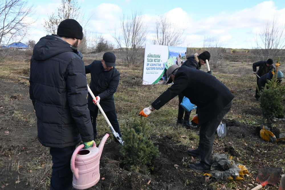 В преддверии Дня республики в селе Балкашино высадили саженцы елей — Фото 9