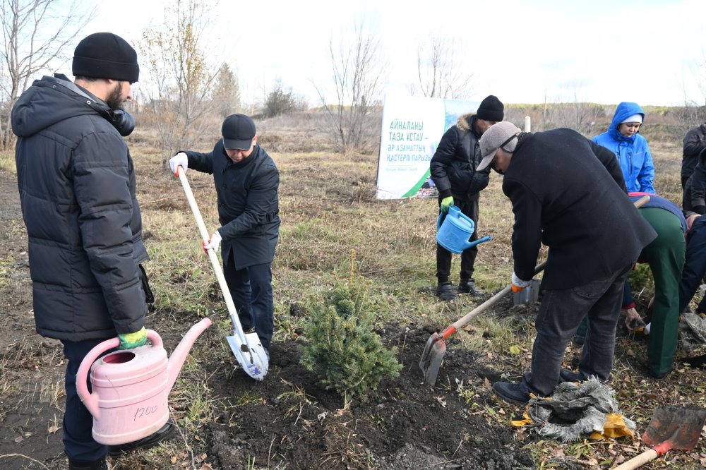 В преддверии Дня республики в селе Балкашино высадили саженцы елей — Фото 1