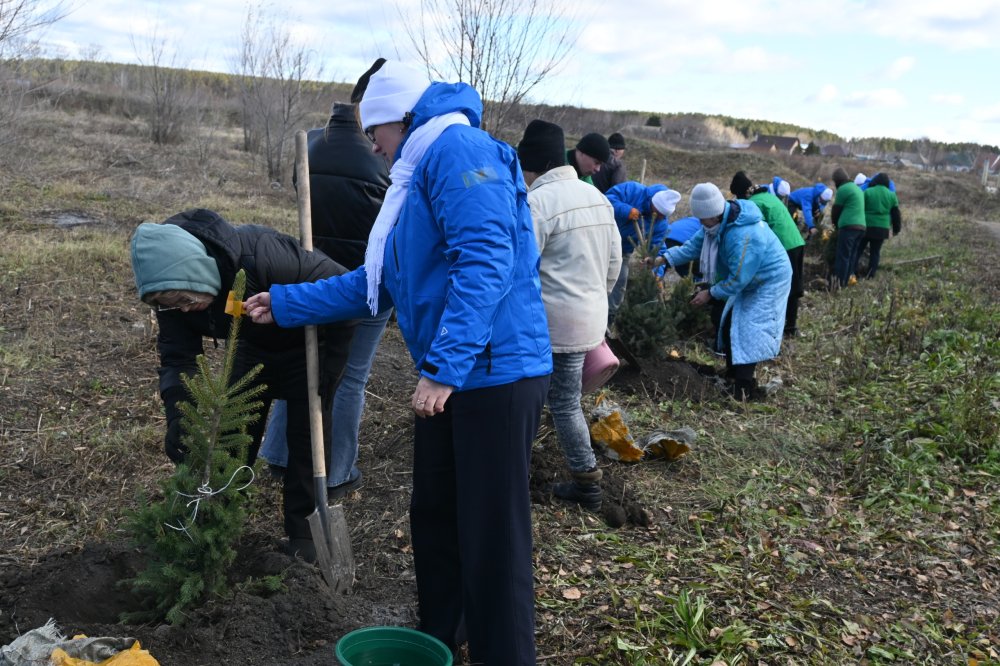 В преддверии Дня республики в селе Балкашино высадили саженцы елей — Фото 2