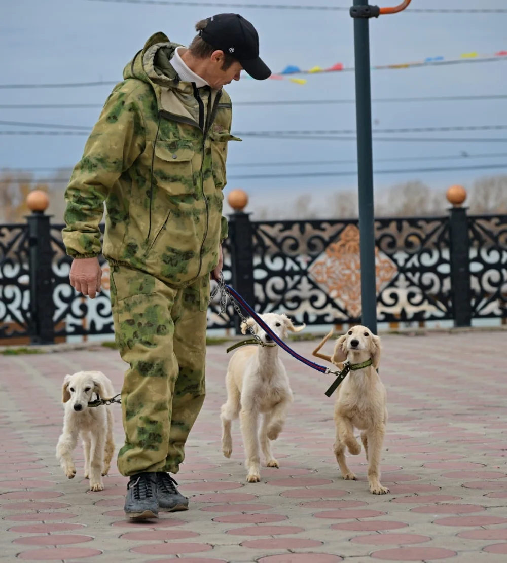 В Павлодарской области широко отметили День Республики — Фото 24