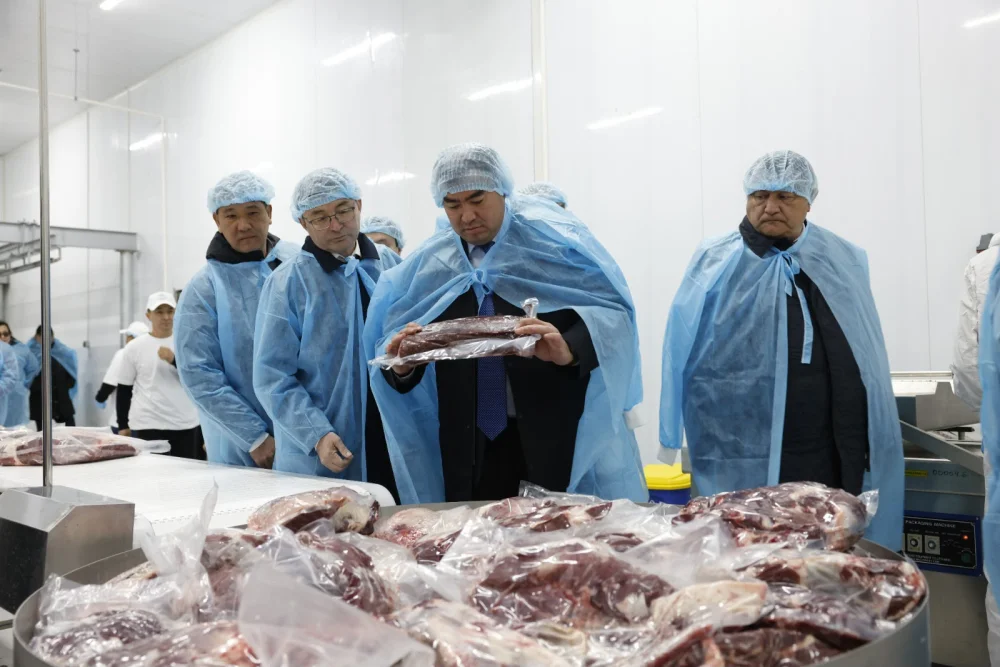 В Алматинской области запустили крупный мясоперерабатывающий завод — Фото 3