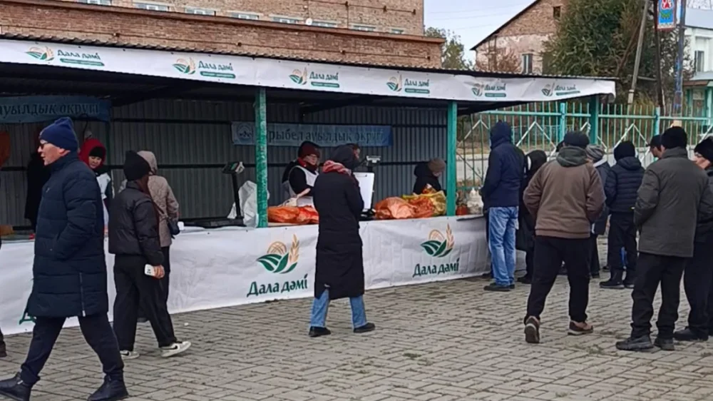 В районе Самар прошла сельскохозяйственная ярмарка — Фото 2