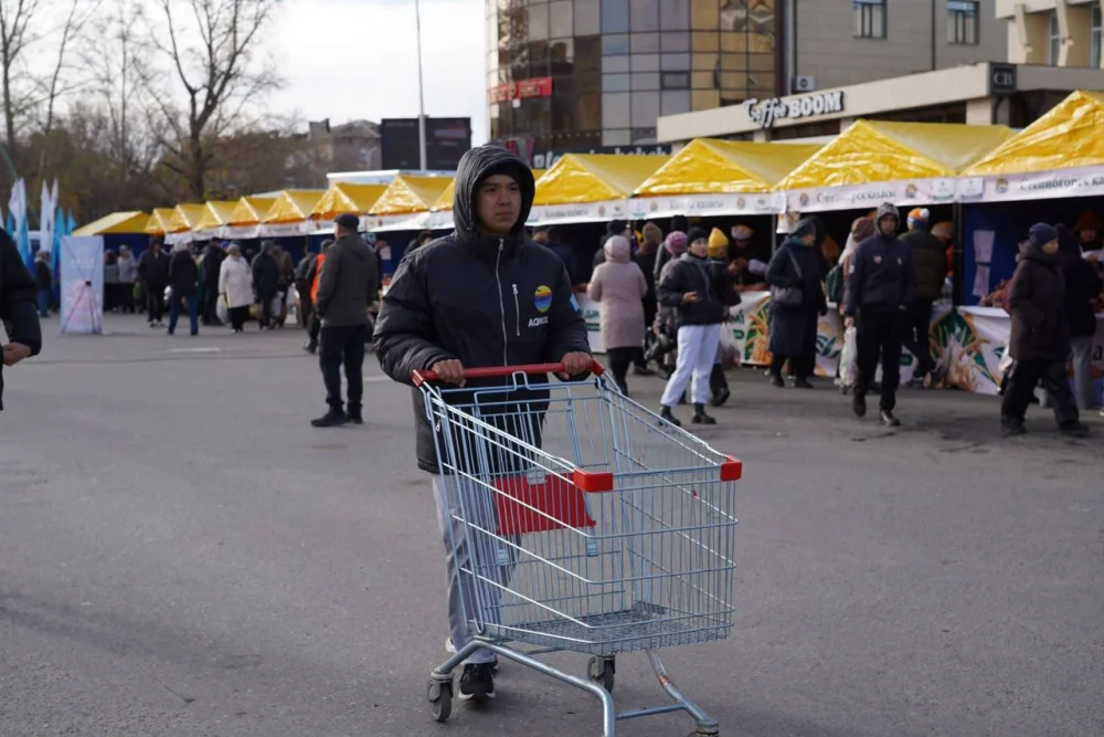 Более 250 тонн продукции представили на сельскохозяйственной ярмарке в Кокшетау — Фото 10