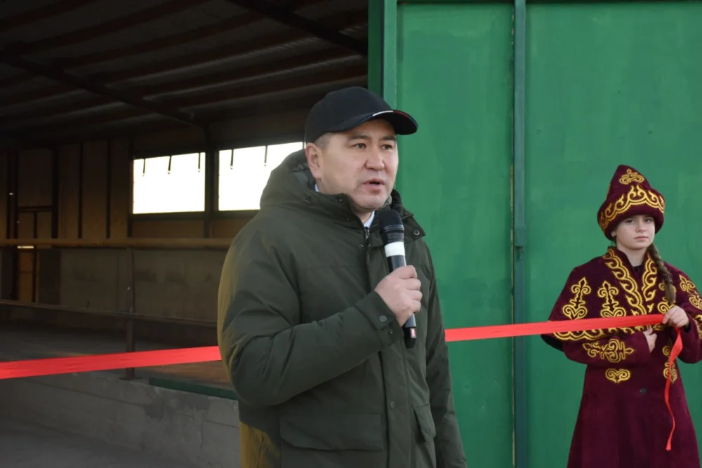 В селе Басколь открыли современную площадку для откорма скота — Фото 2