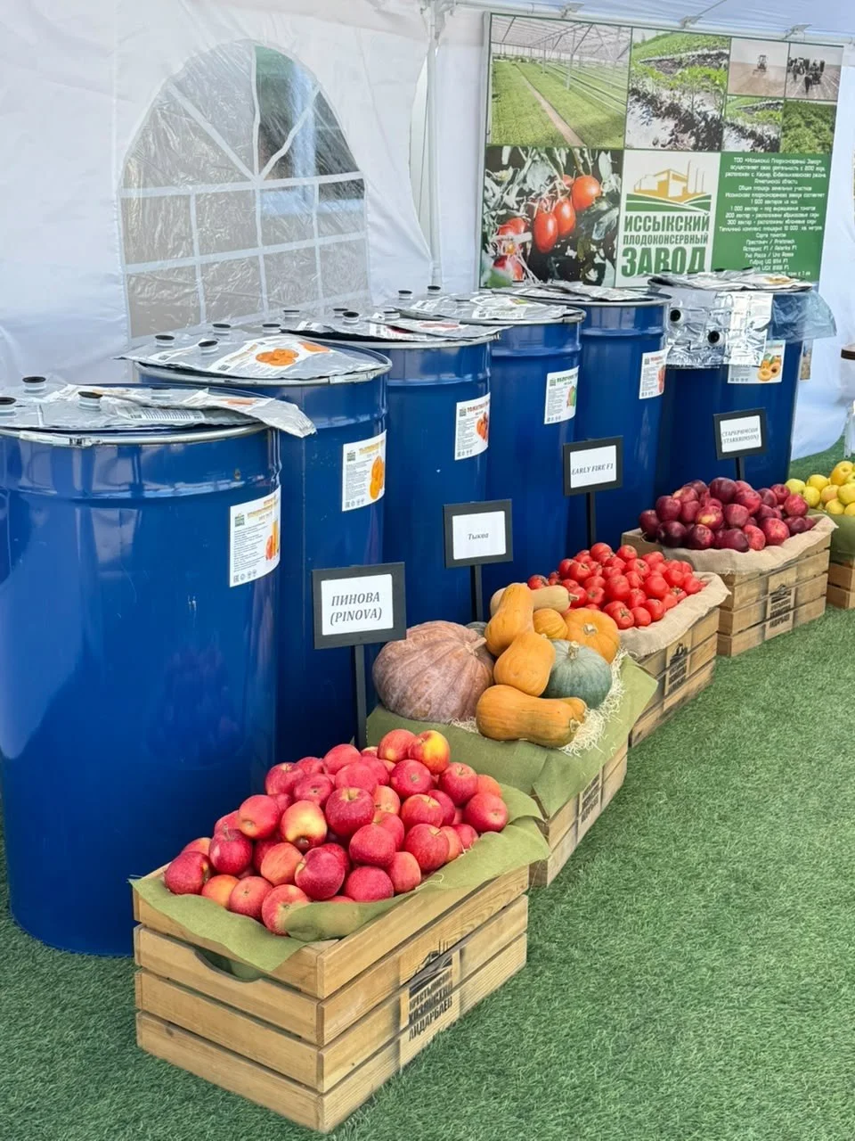 Алматинская область развивает переработку сельхозпродукции и укрепляет экспортный потенциал АПК — Фото 10