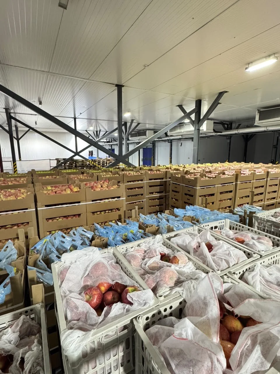Алматинская область развивает переработку сельхозпродукции и укрепляет экспортный потенциал АПК — Фото 6