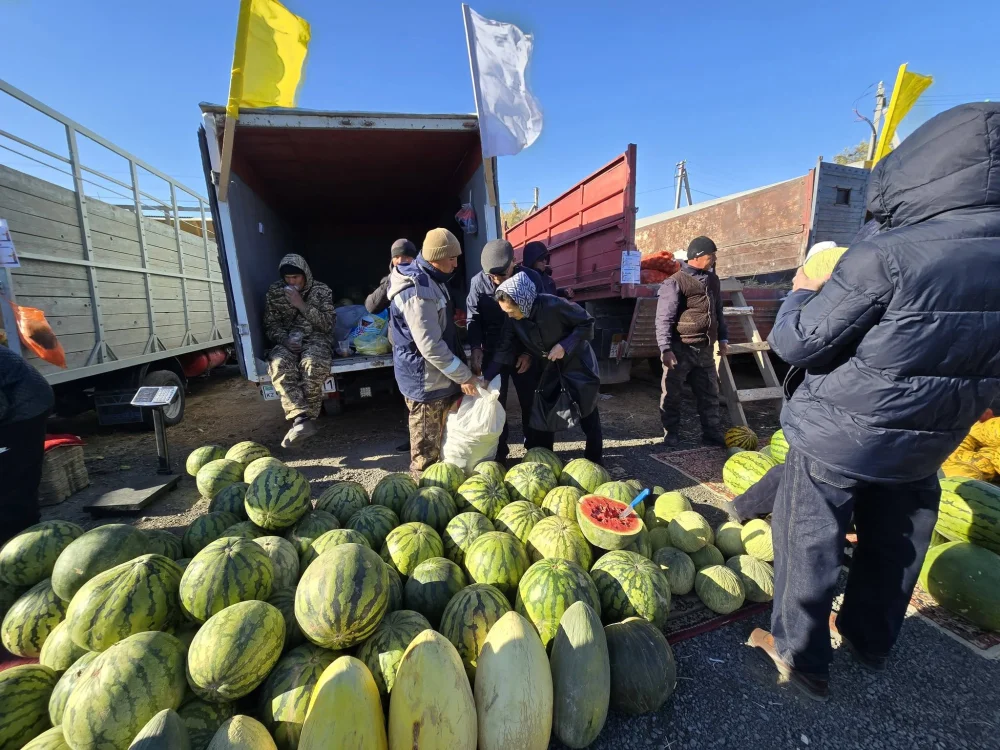 В Кызылорде прошла сельскохозяйственная ярмарка Жалагашского района — Фото 10