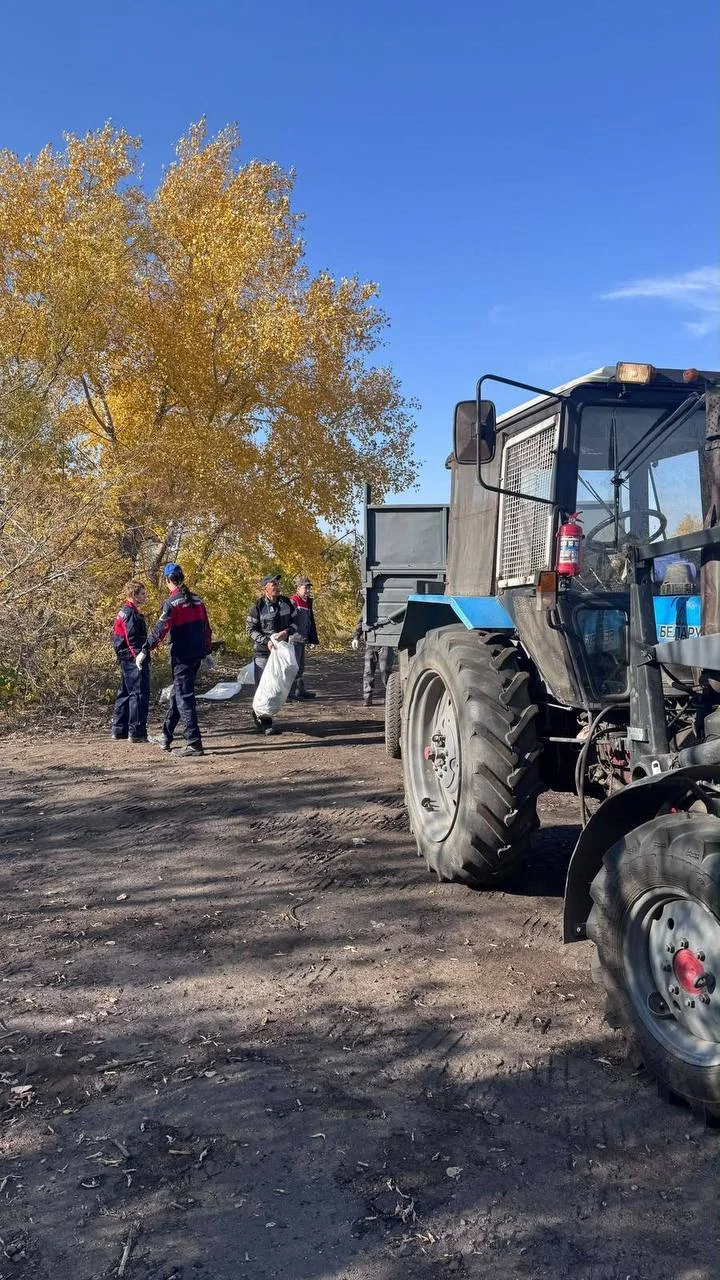 В преддверии Дня Республики во всех регионах Казахстана прошла экологическая акция — Фото 2
