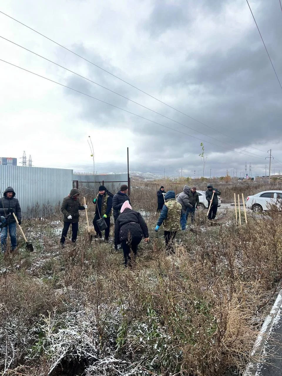 В преддверии Дня Республики во всех регионах Казахстана прошла экологическая акция — Фото 3